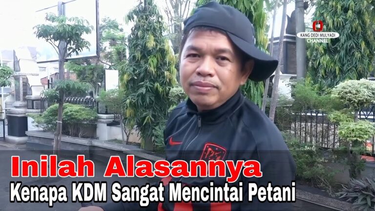 Fenomena Viral Dedi Mulyadi: Strategi Pemasaran Politik Autentik yang Meraih Hati Rakyat