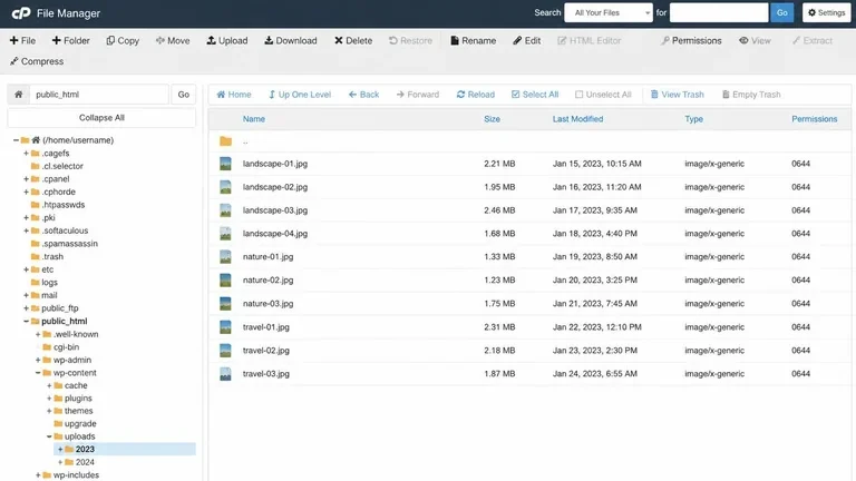 struktur folder wp-content uploads WordPress di File Manager hosting